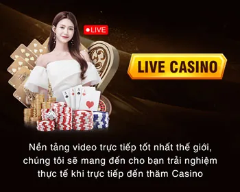Cung cấp dịch vụ và hỗ trợ khách hàng