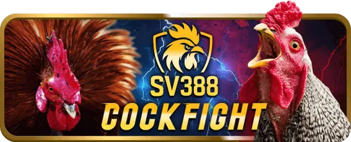 Hướng dẫn chơi cá cược thể thao tại hdbet88 link mới